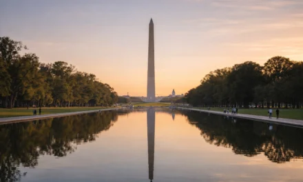 Your Afternoon DMV News Brief: 10 Things Happening Right Now in Maryland, DC & VA
